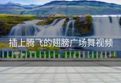 插上腾飞的翅膀广场舞视频