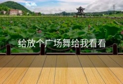 给放个广场舞给我看看