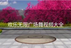 欢乐无限广场舞视频大全