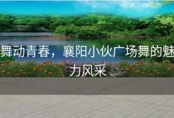 舞动青春，襄阳小伙广场舞的魅力风采