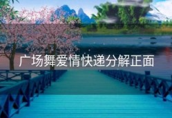 广场舞爱情快递分解正面