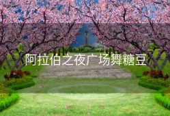 阿拉伯之夜广场舞糖豆