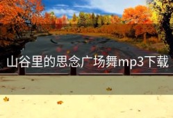 山谷里的思念广场舞mp3下载