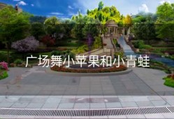 广场舞小苹果和小青蛙