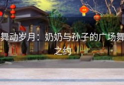 舞动岁月：奶奶与孙子的广场舞之约