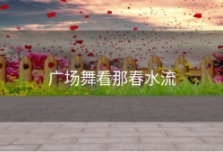 广场舞看那春水流