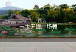 一生无悔广场舞