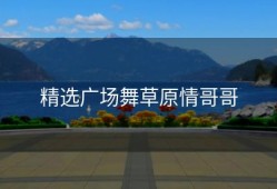 精选广场舞草原情哥哥