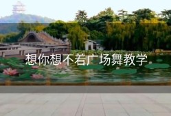 想你想不着广场舞教学
