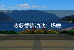 收获爱情动动广场舞