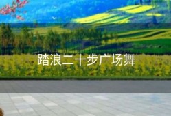 踏浪二十步广场舞
