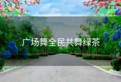 广场舞全民共舞绿茶