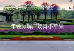 年会分解广场舞小苹果