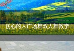 伤心的人广场舞双人舞教学