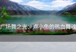 广场舞之光：卢小鱼的热血舞魂