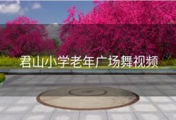 君山小学老年广场舞视频