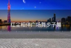 红尘相伴广场舞步子舞