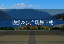动感28步广场舞下载
