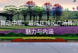 舞动中华：最炫民族风广场舞的魅力与内涵