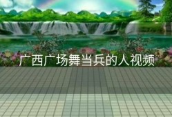 广西广场舞当兵的人视频