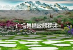 广场舞播放器视频