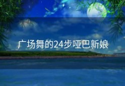 广场舞的24步哑巴新娘