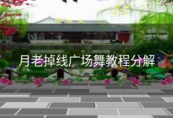 月老掉线广场舞教程分解