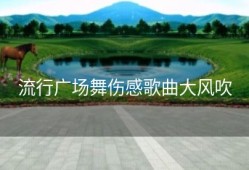 流行广场舞伤感歌曲大风吹