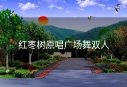 红枣树原唱广场舞双人