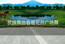 民族舞曲春暖花开广场舞