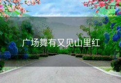 广场舞有又见山里红