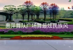 惠萍舞队广场舞最炫民族风