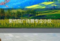 紫竹院广场舞专业小伙