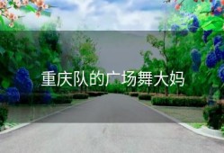 重庆队的广场舞大妈