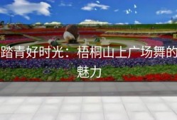 踏青好时光：梧桐山上广场舞的魅力