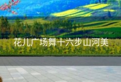 花儿广场舞十六步山河美