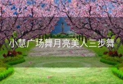 小慧广场舞月亮美人三步舞