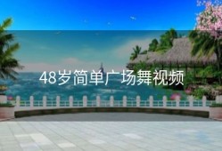 48岁简单广场舞视频