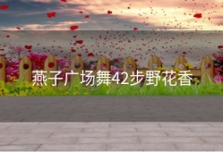 燕子广场舞42步野花香