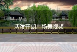 活泼开朗广场舞视频