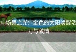 广场舞之光：金色的太阳唤醒活力与激情