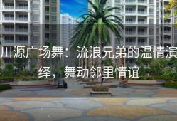 川源广场舞：流浪兄弟的温情演绎，舞动邻里情谊
