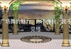 广场舞的魅力：你不懂我，我不见怪