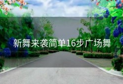 新舞来袭简单16步广场舞