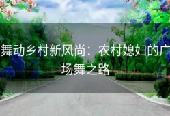 舞动乡村新风尚：农村媳妇的广场舞之路