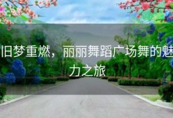 旧梦重燃，丽丽舞蹈广场舞的魅力之旅