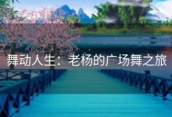 舞动人生：老杨的广场舞之旅