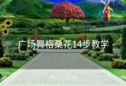 广场舞格桑花14步教学