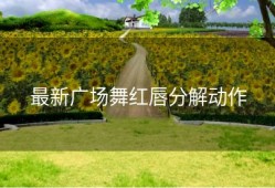 最新广场舞红唇分解动作