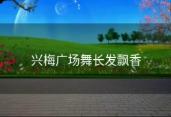 兴梅广场舞长发飘香